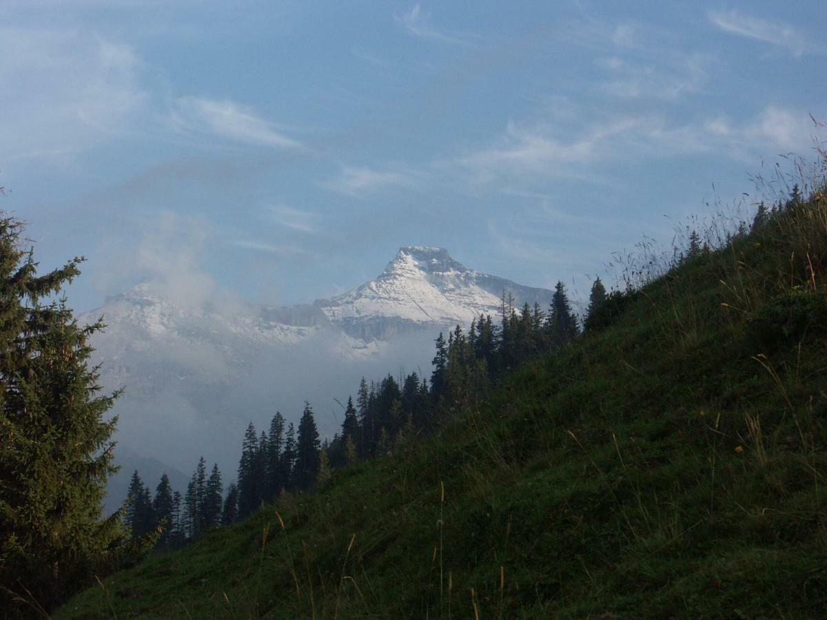 Pension Sonne Adelboden Buitenkant foto